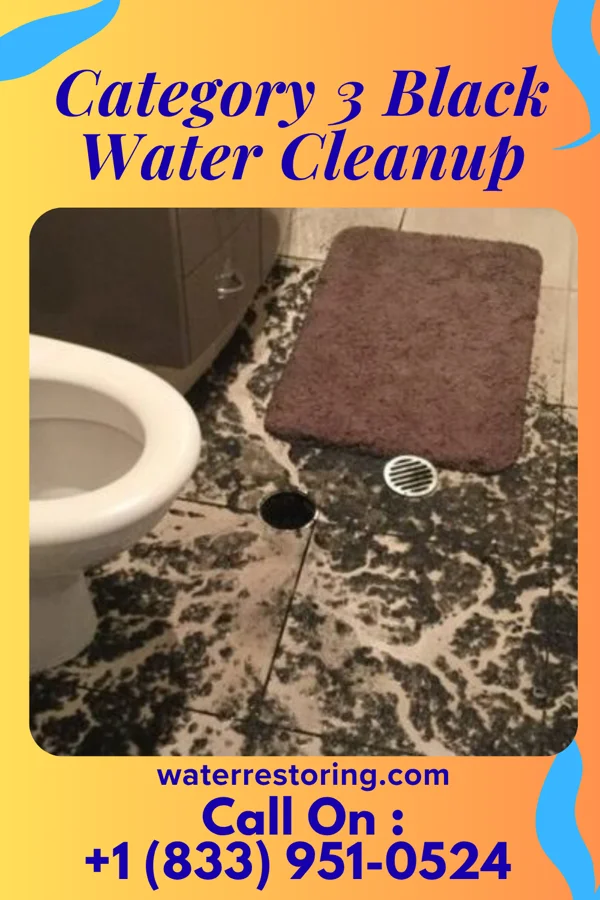 Category 3 Black Water Cleanup in Crump, TN